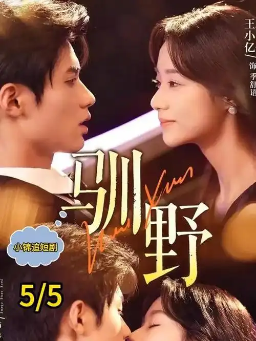 长夜烬明录 热播电视剧全集免费观看